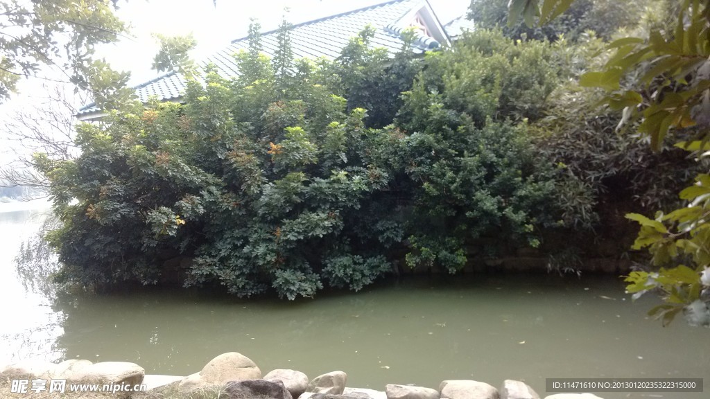 鹅卵石