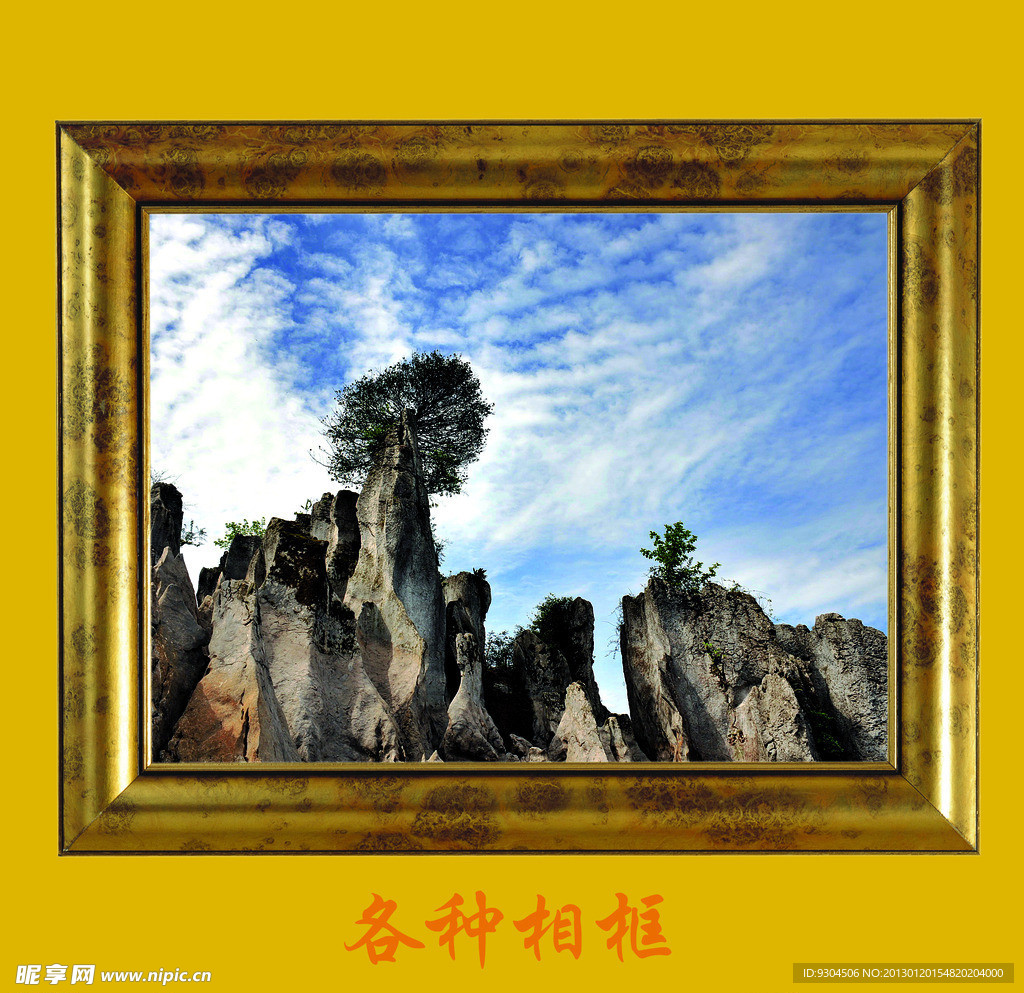 风景