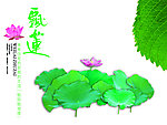 荷叶