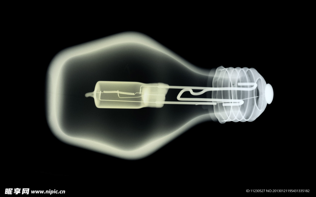 电灯泡的X光透视