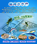 海鲜展板