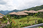 台湾阿里山风景