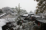 同里雪景