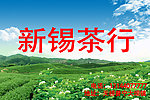 新锡茶行
