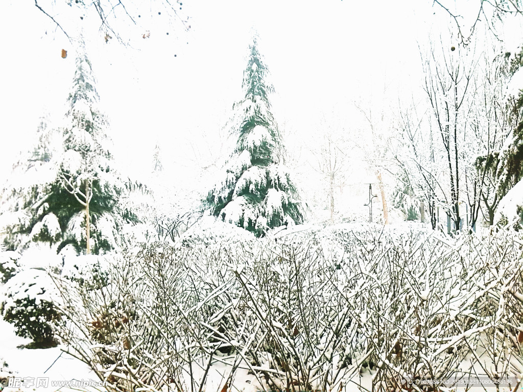 雪景