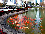 陆家嘴中心绿地近水平台