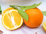 桔子 橙子