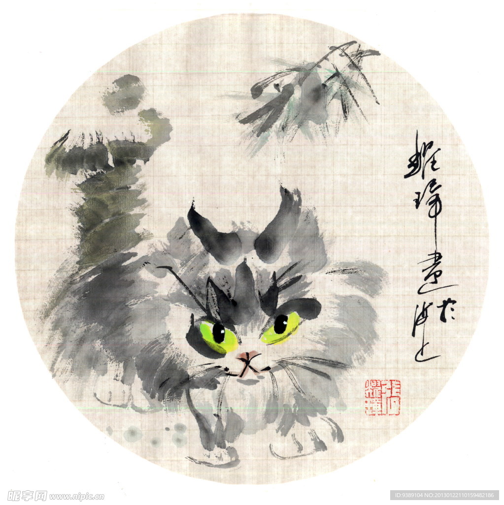 可爱的小猫