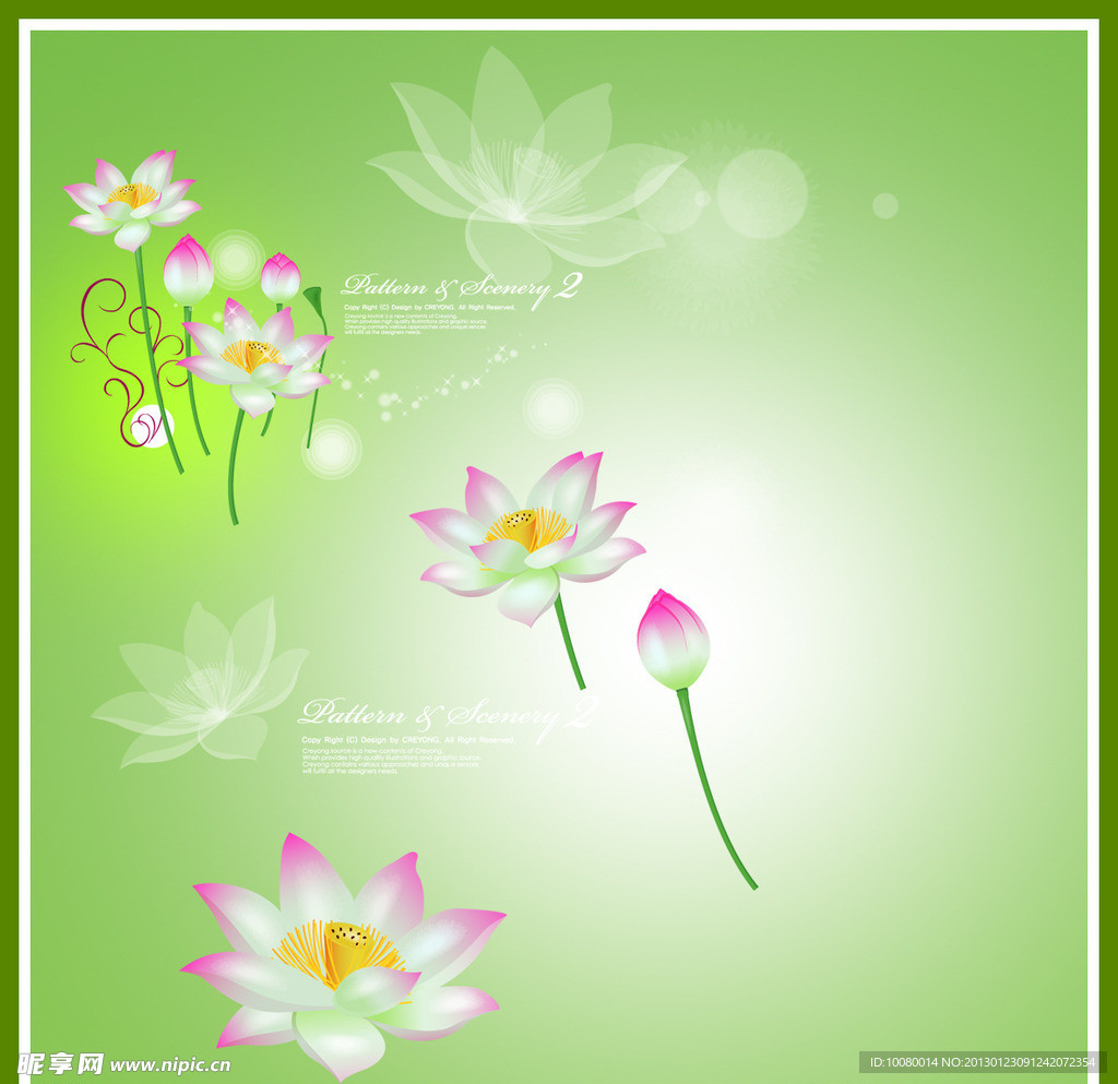 荷花