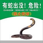 有蛇出没危险