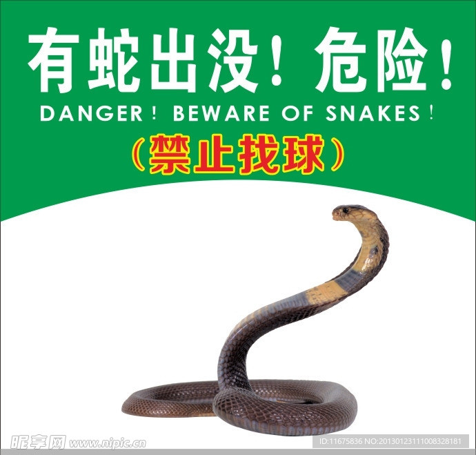 有蛇出没危险