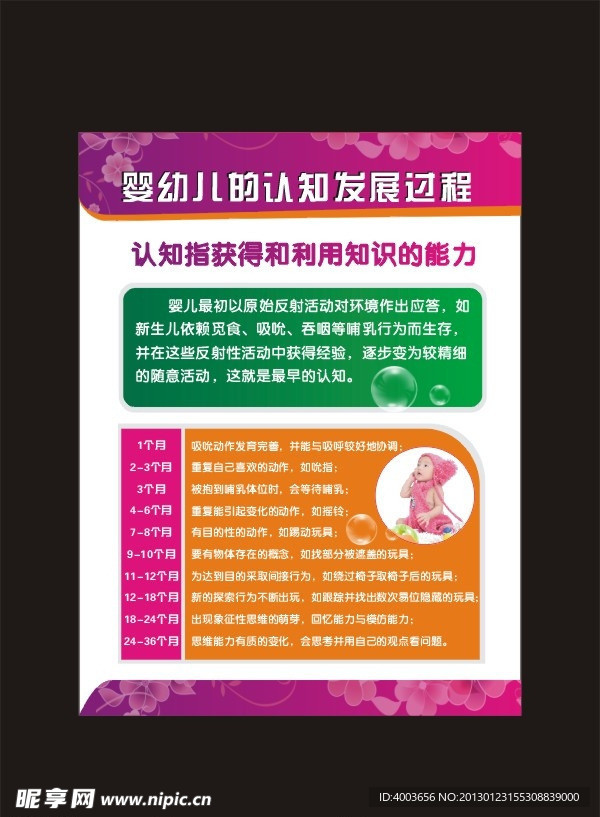 婴幼儿的认知发展过程