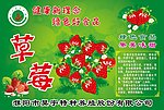 草莓