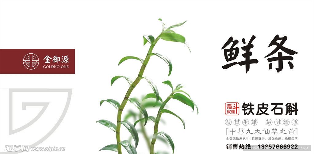 铁皮石斛鲜条广告