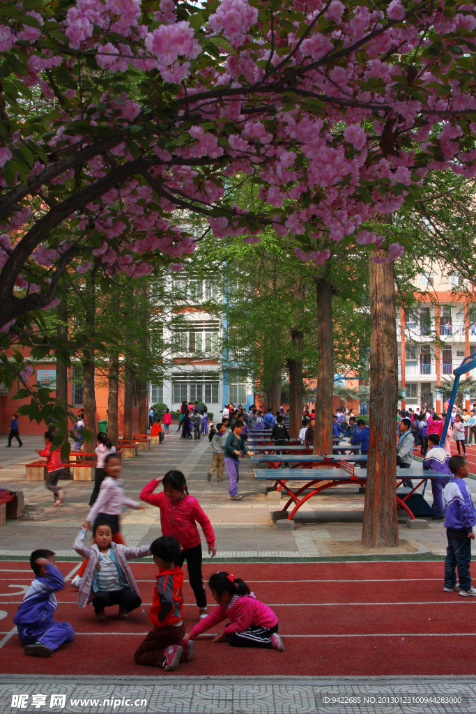 学校