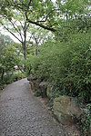 曲径幽深