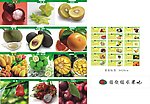 国饮楼灯箱 标签