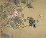 芙蓉栖禽图