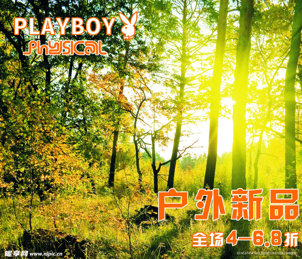 树林 户外（背景是用两张JPG图合成）