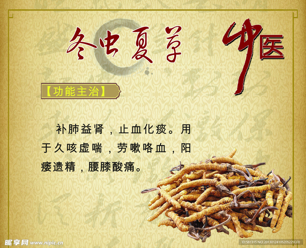 中药 冬虫夏草
