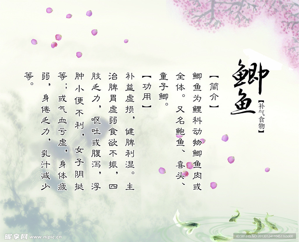 中药 鲫鱼