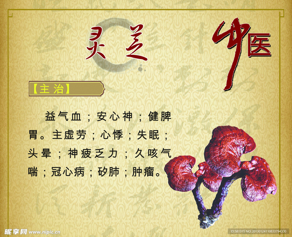 中药 灵芝
