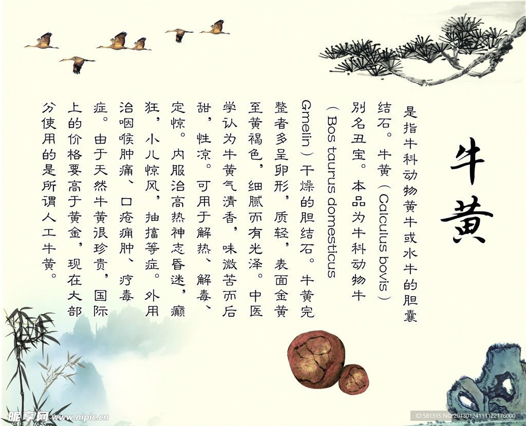 中药 牛黄