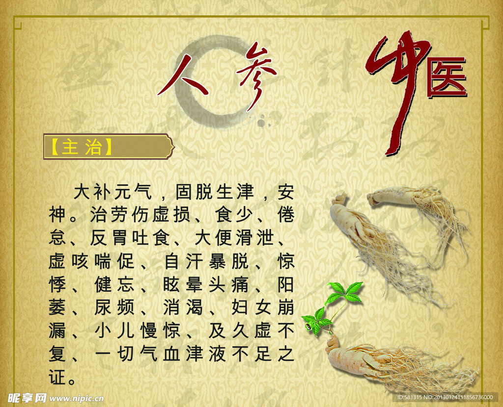 中药 人参