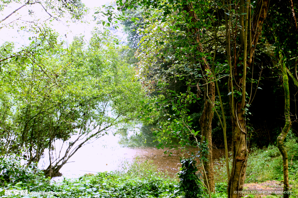 白水湖风景