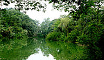 白水湖风景