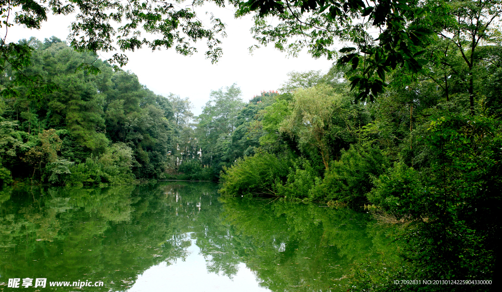 白水湖风景