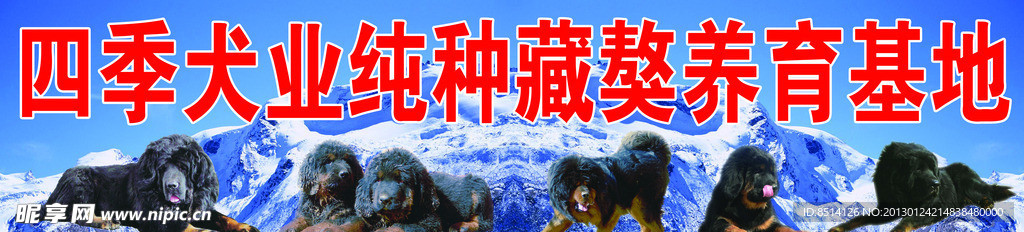 藏獒