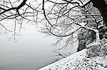 西湖雪景