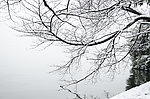 西湖雪景