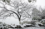西湖雪景