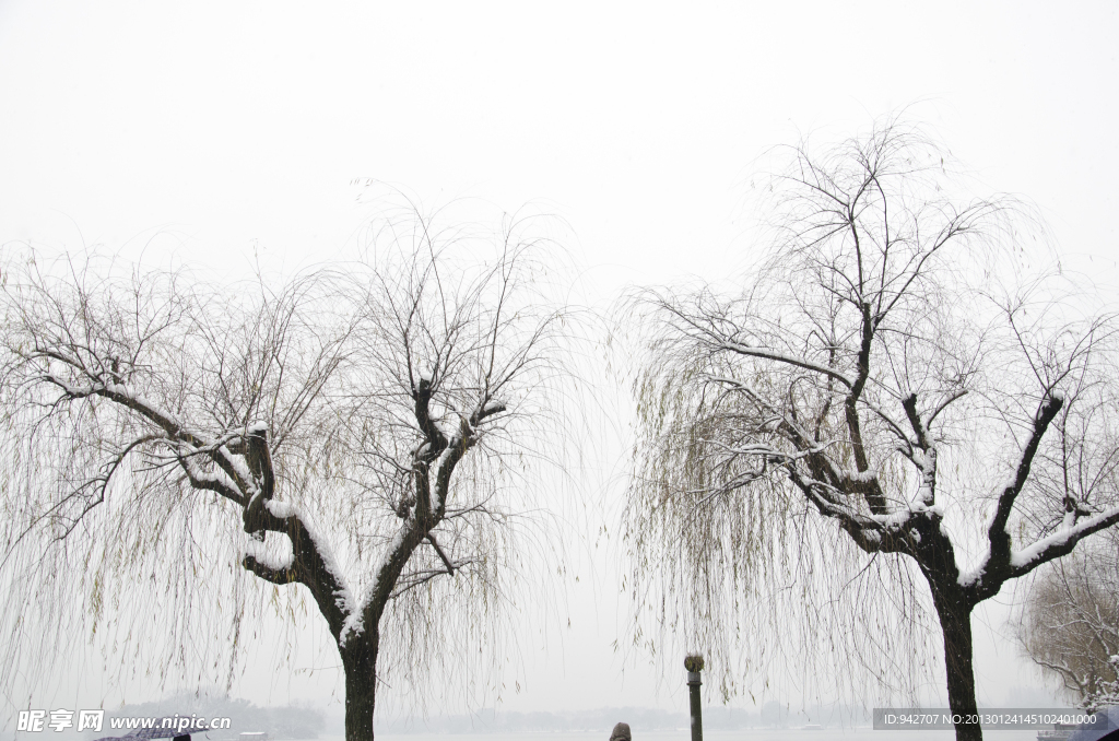 雪景