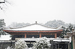 雪景