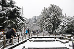 雪景