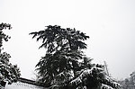 雪景