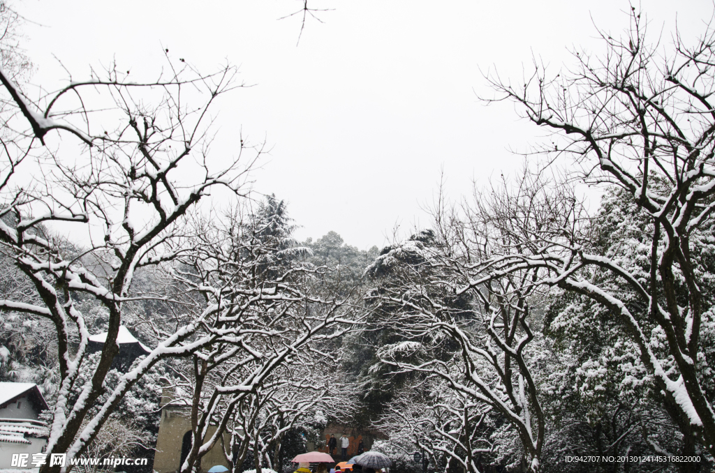 雪景