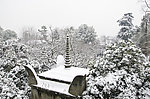 雪景