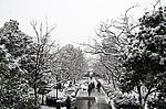 雪景