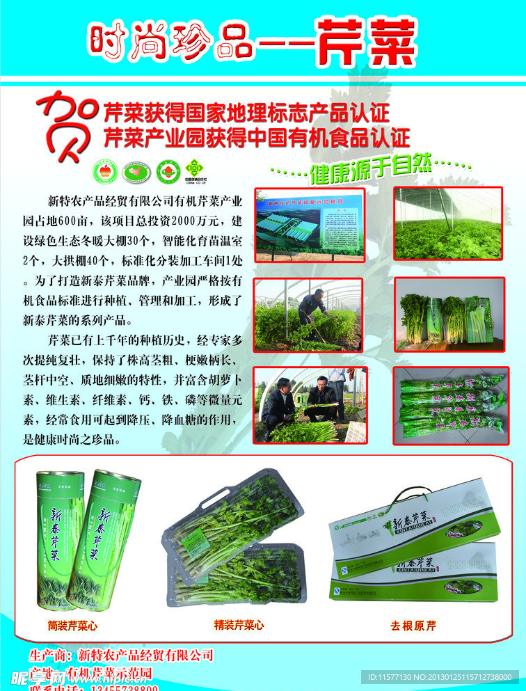 时尚珍品 有机芹菜