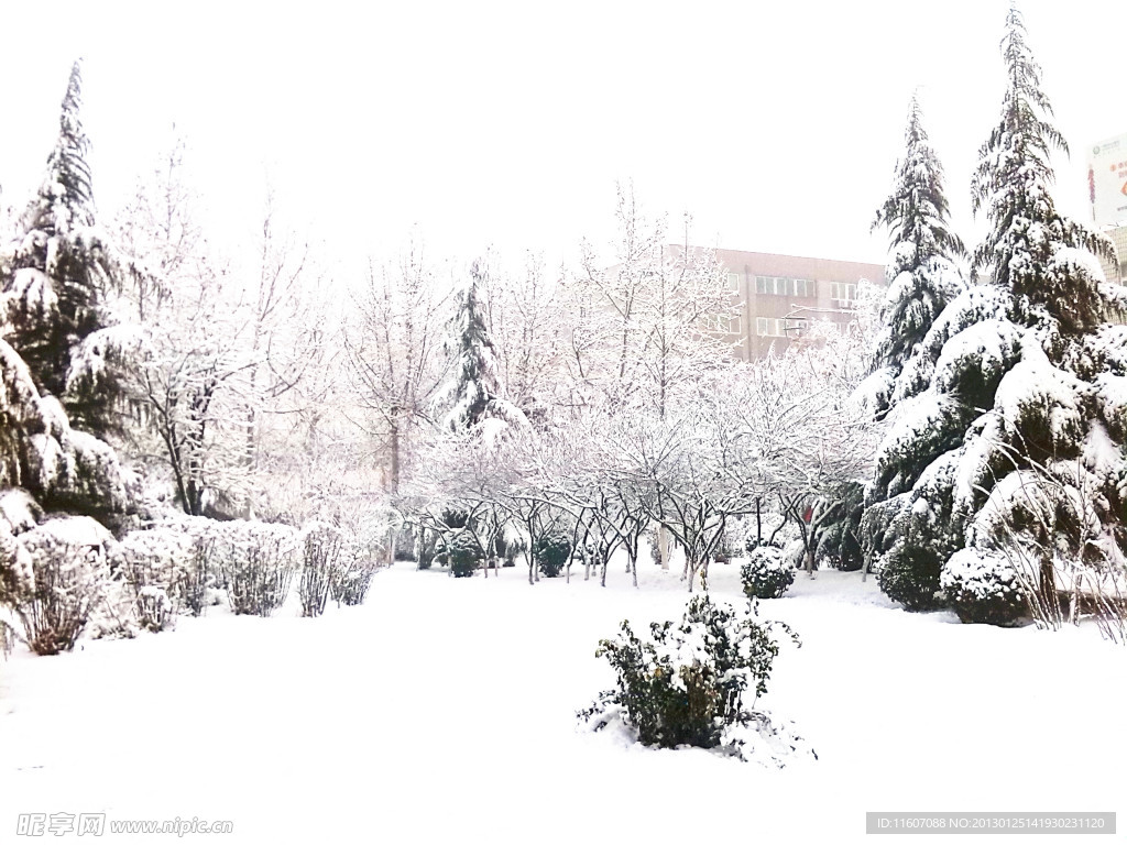 雪景图