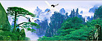 风景画