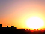 夕阳余辉