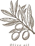 橄榄