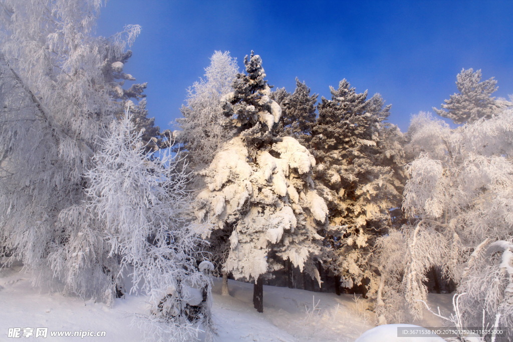 雪景