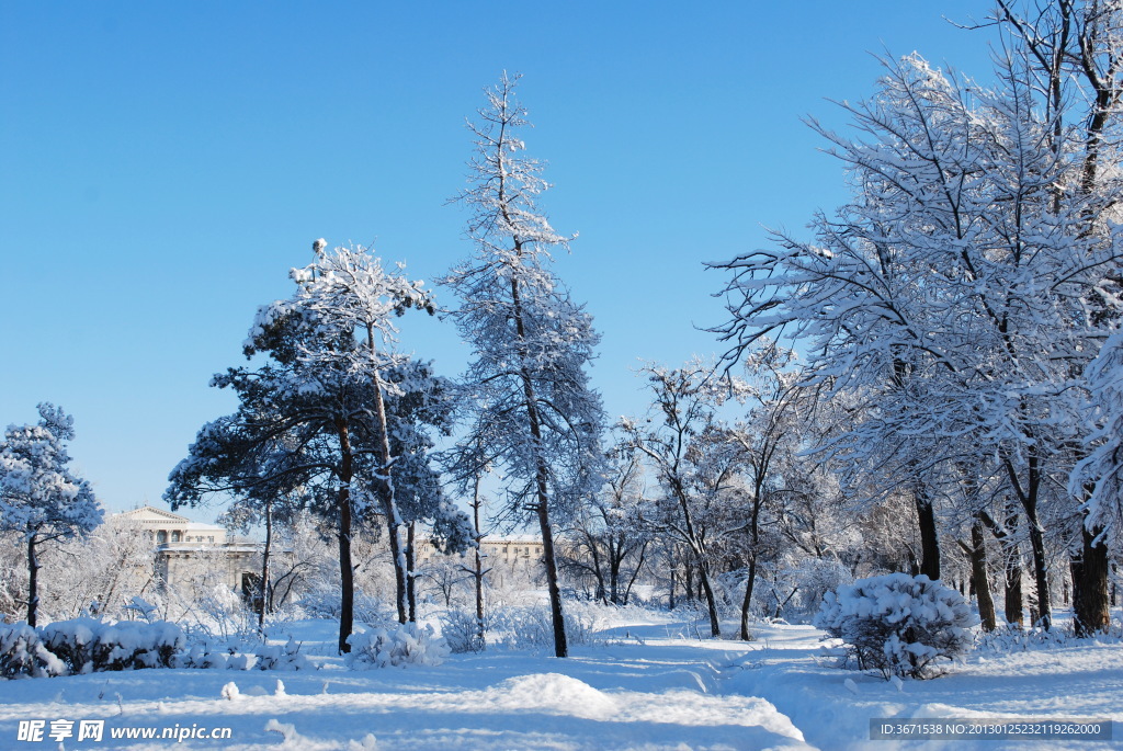 雪景