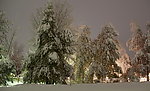 雪景